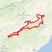 Course map