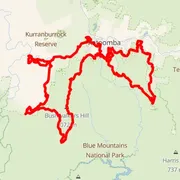 Course map