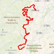 Course map