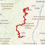 Course map