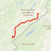 Course map
