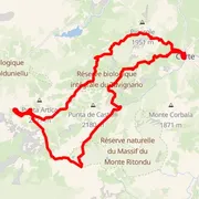 Course map