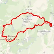 Course map