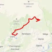Course map