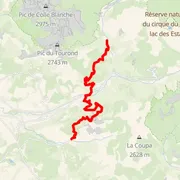 Course map