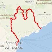 Course map