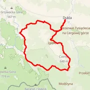 Course map