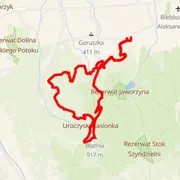 Course map