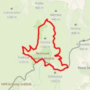 Course map