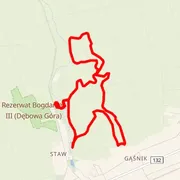 Course map