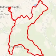 Course map