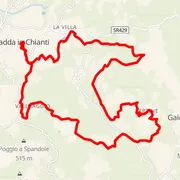 Course map
