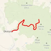 Course map