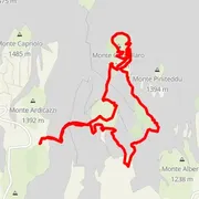 Course map
