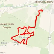 Course map