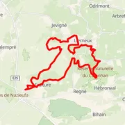 Course map