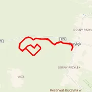 Course map