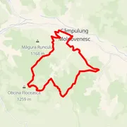 Course map