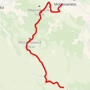 Course map