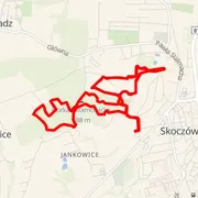Course map
