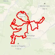 Course map