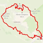 Course map