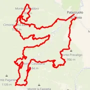 Course map