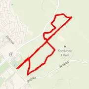 Course map