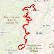 Course map