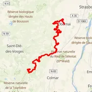 Course map