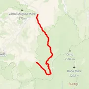 Course map