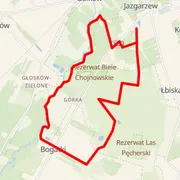 Course map