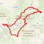 Course map