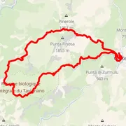 Course map