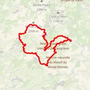 Course map