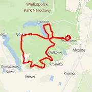 Course map
