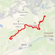 Course map