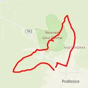 Course map