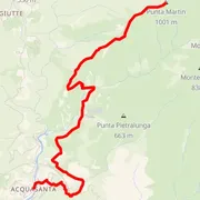 Course map